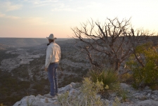 Looking into Canyon from Bluff Medium-Scale