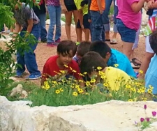 Stop and Smell the Chocolate Flowers