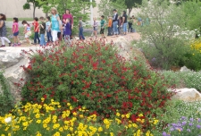 Students in the Trail 5