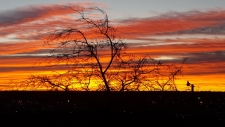 Sunrise in Ozona 800x450