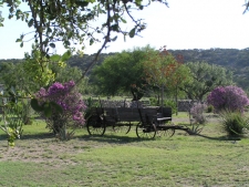 Wagon in field Medium