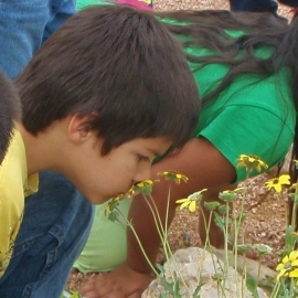 Boy Smelling Chocolate Flower - FB Local 120x629