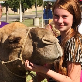 Camels at the Ozona Chamber