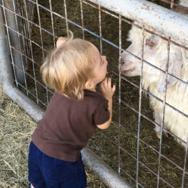 Goat Lickin' Good