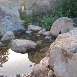 Peaceful pond in the trail 700x700