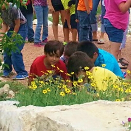 Stop and Smell the Chocolate Flowers 2