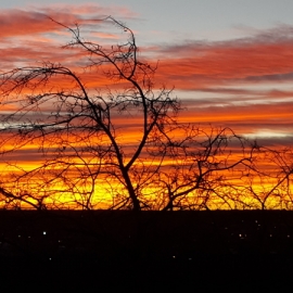 Sunrise in Ozona 800x450