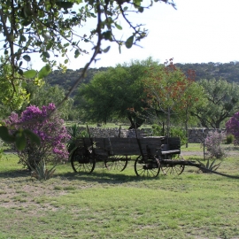 Wagon in field Medium